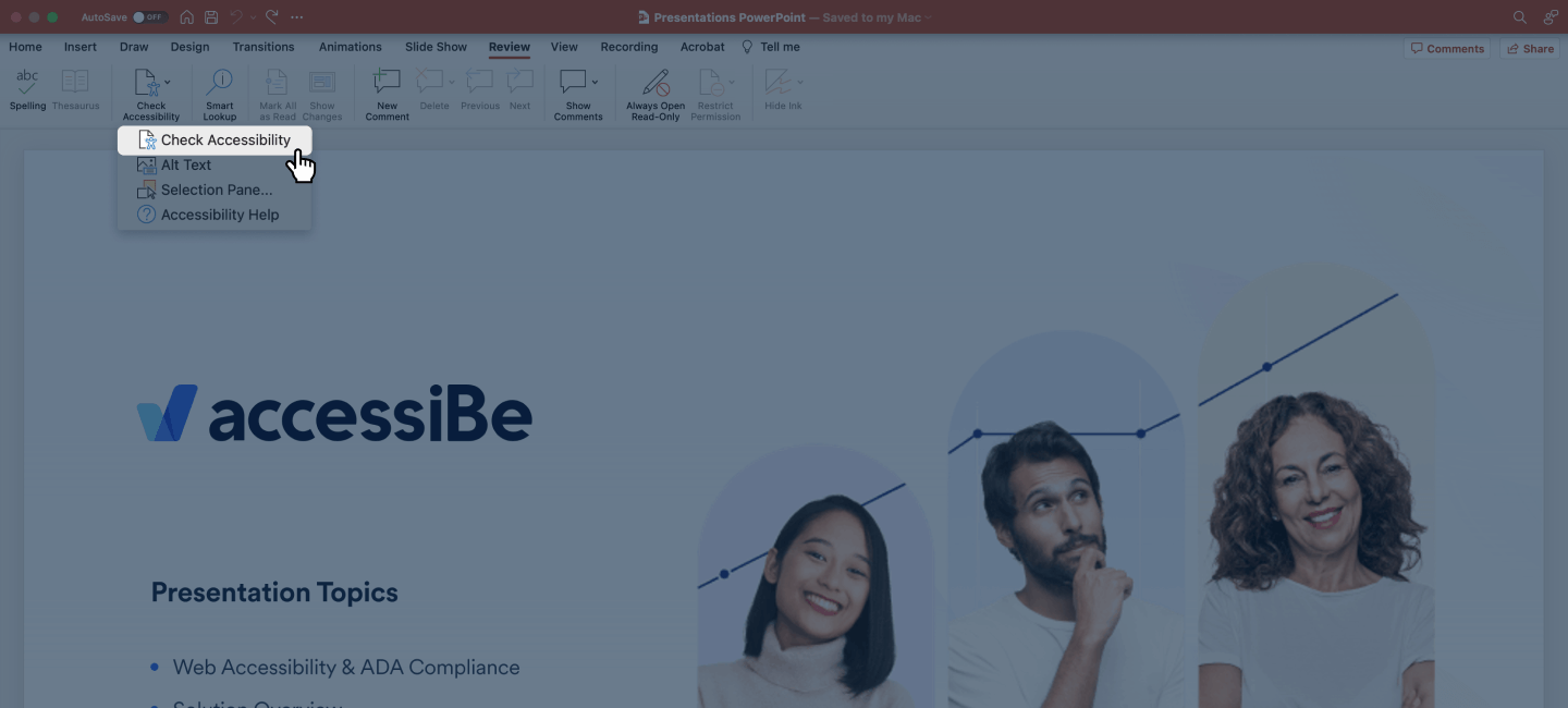Screenshot of the expanded options that appear after selecting &lsquo;Check Accessibility&rsquo;.